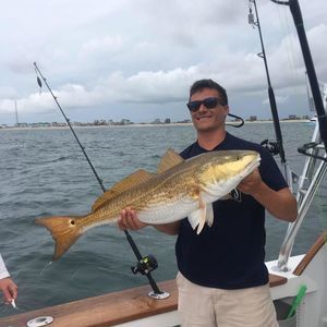 Meet your Posher, Thomas